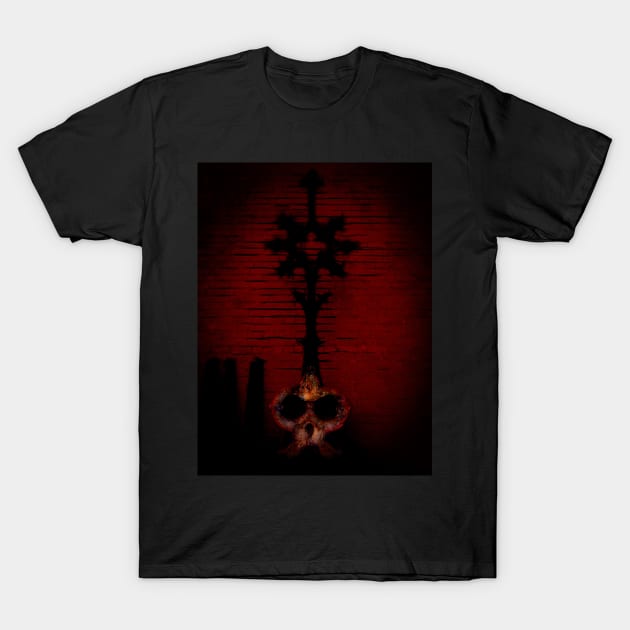 Evil Looks T-Shirt by PictureNZ